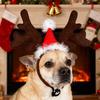 Christmas Horse Hat Reindeer Horn Headband Thick Red Velvet Santa Hat Deer Horn Hairband Xmas Horse Decoration Costume Accessories