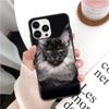 Мягкий чехол для телефона с домашним животным мейн-куном и котом для iphone 14pro 11pro 12 13pro max 5S 6s xs 7 8plus SE xr 12mini Coque, чехлы
