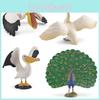 Pelican Peafowl Pvc Wildlife Model With Realistic Design For Educational Kids Toys