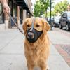 Breathable Mesh Puppy Mouth Cover Washable Dog Face Cover Portable Dog Muzzle  Pet Supplies