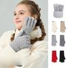 Double Layer Thickened Knitted Gloves for Winter Warm and Cold  Plus Velvet Northeast Outdoor Riding Solid Color Touch Screen Wool Gloves