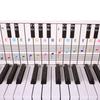 Beginners Gift Keyboard Note Card 61/88 Keys Piano Learning Tool New Piano Chord Chart
