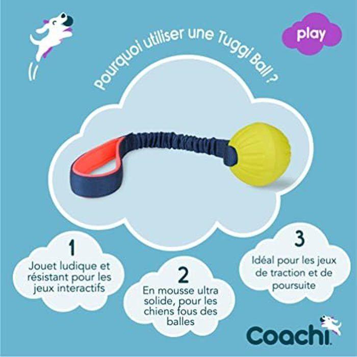 Jouet pour chien - COACHI - Tuggi Ball - Design robuste - Poignée élastique - Dressage