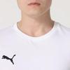 Puma Мужской летний спортивный комплект с шортами и короткой футболкой