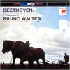 CD BRUNO WALTER - Blu-spec CD Beethoven: Symphony No. SICC20010 Japan ObiClassical Used
