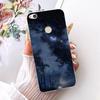Чехол для Huawei P8 Lite 2017 Honor 8 Lite Милый Лев Модный Расписной Чехол Мягкий Силиконовый Чехол для Телефона Для Huawei P9 Lite 2017 Корпус