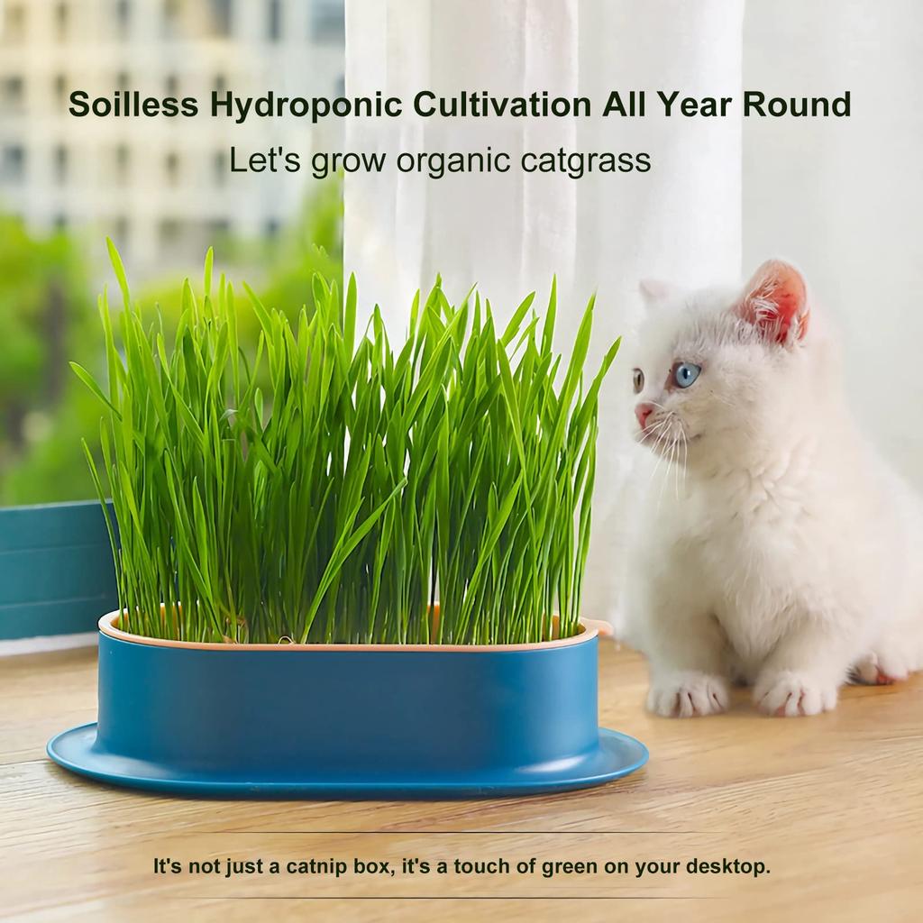 Cat Grass Planter Hydroponic Cat Grass Growing Kit (No Seeds Included) Catnip Wheatgrass Seed Sprout Tray Nursery Plant Planting Box for Indoor Cats