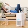 Indoor Dehumidification And Moisture Absorption Equipment Portable Basement Air Dryer Household Small Bedroom Dehumidifier