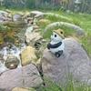 Cartoon Frog Panda Fishing Statue Resin Miniatures Figurine Garden Decor Animal Sculpture  Balcony