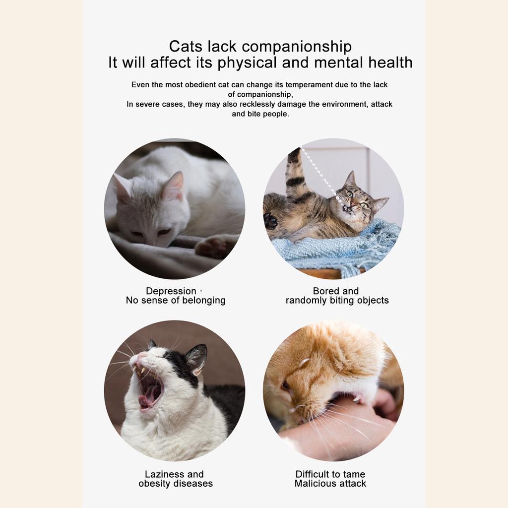 Cat Toy For Indoor Cats, Random Trajectory Motion Activated Rechargeable Automatic Cat Toy, Interactive Cat Toy For Bored Indoor Cats Kittens Dogs