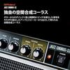 Roland/JC-22 Roland Guitar Amp Jazz Chorus 30W