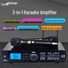Bluetooth-караоке-усилитель Tianlai K400 с двумя беспроводными микрофонами
