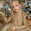 Girls' Golden Dress, Princess Dress, Piano Runway Performance Costume
