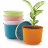 Plastic Round Flower Pots with Tray for Home Planters, Terrace, Garden Etc | Pack of 05 | Multicolor  | for Home Indoor & Outdoor Gardening Plants