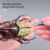 Realistic Beetle Action Figures Wild Insect Lifelike Insect Figurines  Desktop Ornament