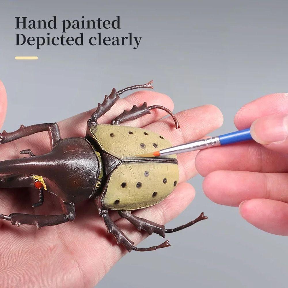 Realistic Beetle Action Figures Wild Insect Lifelike Insect Figurines Desktop Ornament