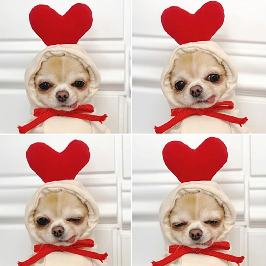 Тёплая толстовка для длмашних питомцев