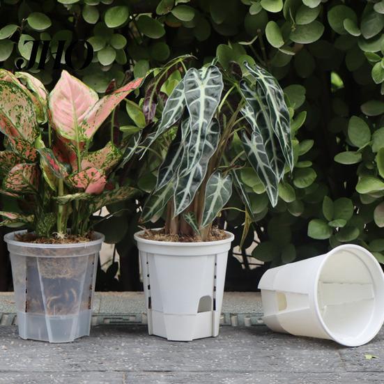 Downward Growth Pot Self Watering Flowerpot Breathable Transparent Plastic Planter for Phalaenopsis Plant Health Monitoring Control Automatic