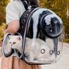 1pc Cat and Dog Outing Carrying Backpack Pet Backpack, Outdoor Portable Backpack Transparent Space Capsule Breathable Large Capacity Portable Cat Bag