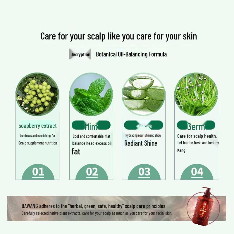 Bawang Soapberry Balancing Oil Control Shampoo