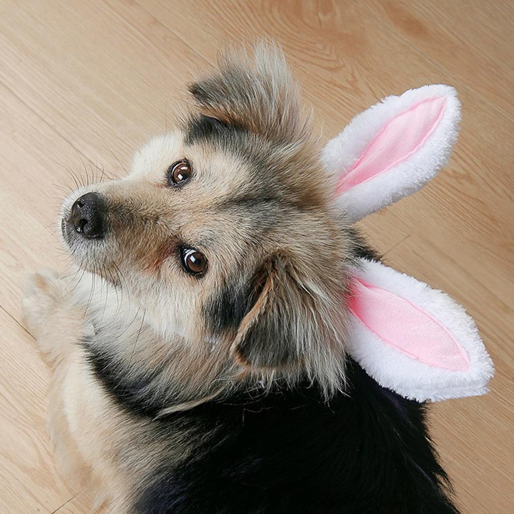 Lovely Bunnies Ear Headbands Durability Pet Headpiece Dog Halloweens Headbands for Easter and Festives Celebrations