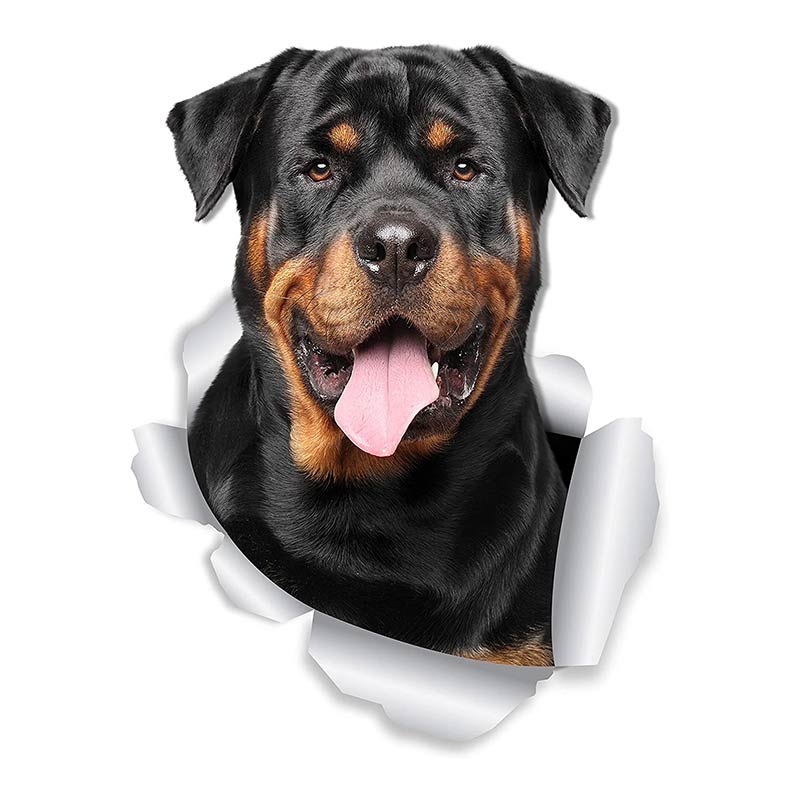 Personality Decal Rottweiler Dog Waterproof Car Sticker Decorative Accessories