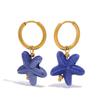 Ceramic Dopamine Starfish Earrings for Women Colorful Vibrant Pendant Youthful Hypoallergenic Stainless Steel  Zircon Gift