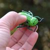 Fashion Pet Insect Cicada Beetle Simulation Cute Cat Toys Mini Auto Walking Insect Teaser Interactive 1pc New Electric