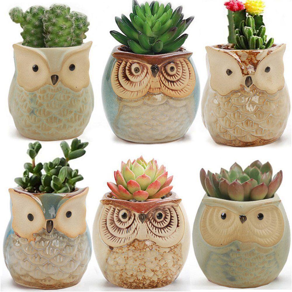 New Indoor Owl Shape Succulent Pot Mini Ceramic Flower Pot