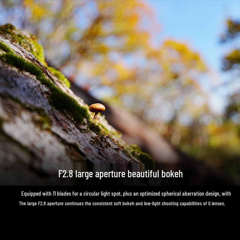 Sony FE 16-25mm f/2.8 G Lens