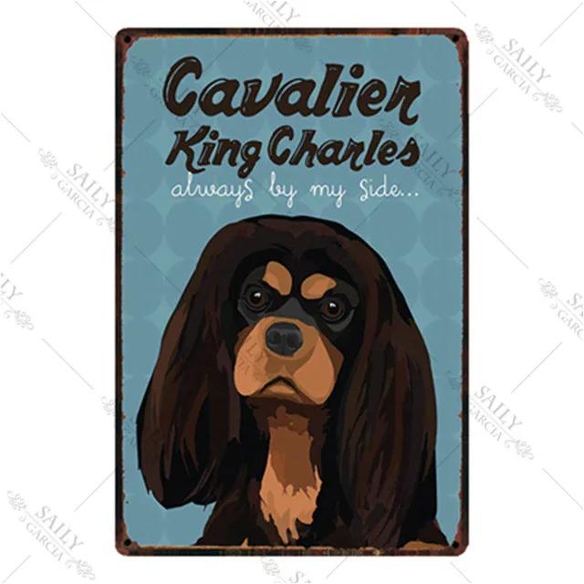 Dog Rules Metal Print Plates Lovely Bulldog Boxer Beagle Great Dane Metal Tin Sign Poster Vintage Pub Bar Sign Man Cave Plaques