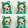 New Animals Costume Warm Coat Dog Jumpsuit Pet Hoodie Fruit Puppy Coat Dog Winter Clothes