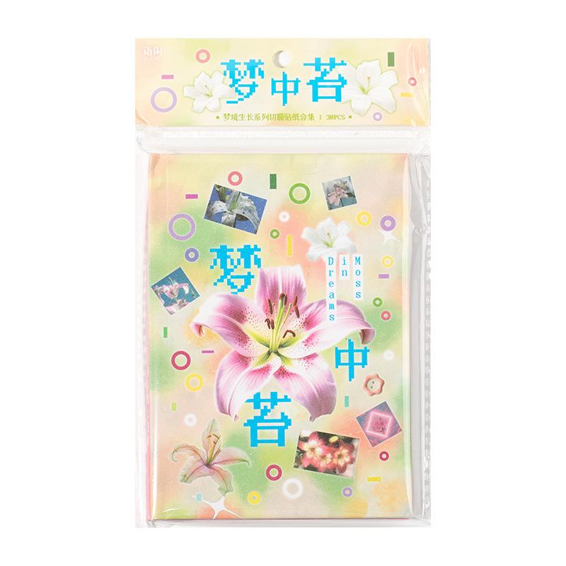 30 Sheets/pack Sticker Book Dream Growth Dream Core Wind Pattern Notebook Mobile Phone Back Card DIY Decoration Guka Collage