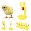 10Pcs Poultry Chicken Hanging Duck Drinking Water Nipple Drinker Feeder With Cup