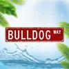 Vintage Style Bulldog Way Metal Sign, 15.75" X 3.94" Aluminum Wall Art, UV HD Printing, Suitable for Indoor and Outdoor Everyday