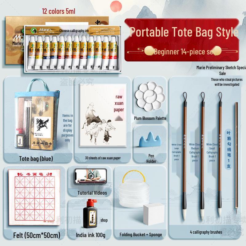 Набор Марии для начинающих из 12 цветов для детской живописи тушью с кистями