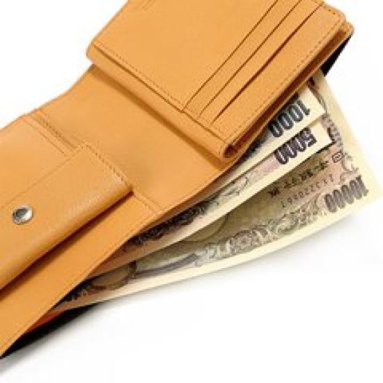 [PORTER] [Authorized Retailer] Yoshida Bag Double Folding Wallet 129-06012 (3. Brown)