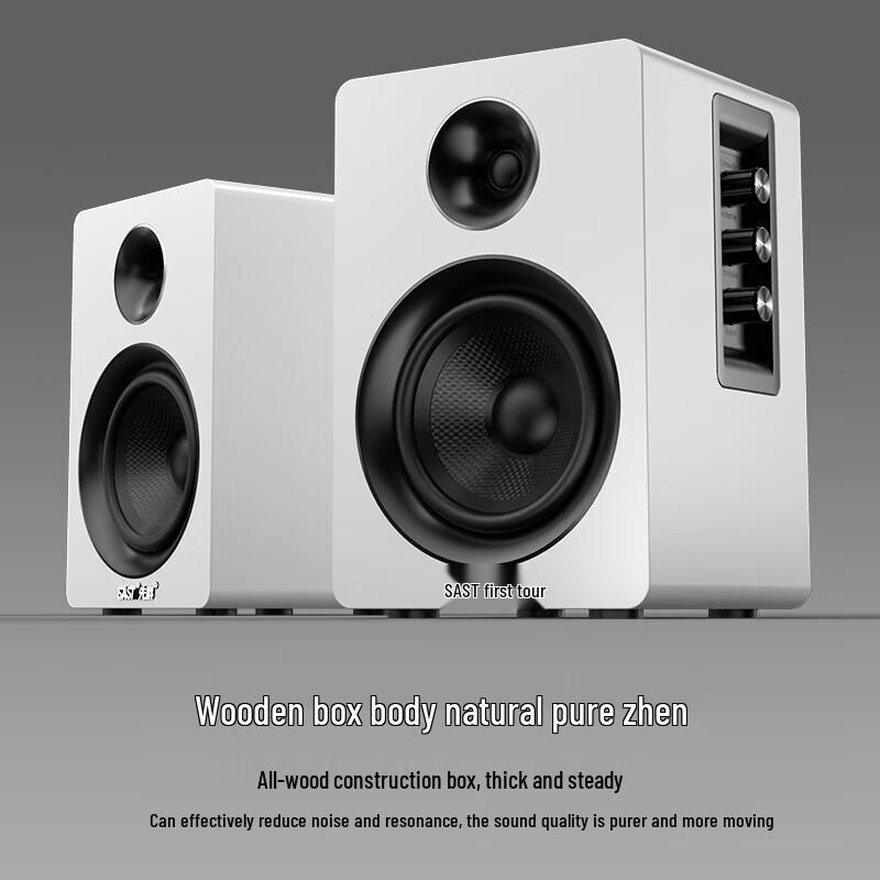 SAST SM-1900 Bluetooth Multimedia Active Speakers CN plug (adapter included)