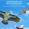 1,65 м/1,45 м/1,2 м Новый Поступление Уличные Развлечения Спорт Орел Воздушный Змей Летающая Птица Воздушные Змеи Для Детей Или Взрослых Хорошо Летает