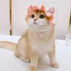 Cute Flower Cat Hat Cute Pet Hat Kittens Knitted Hat Decoration Photo Shoot Props  Pet