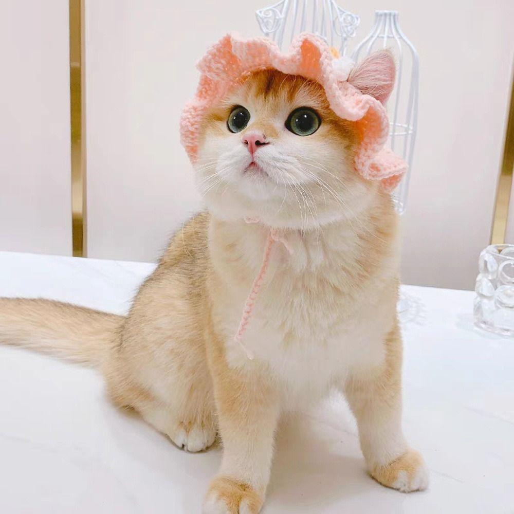 Cute Flower Cat Hat Cute Pet Hat Kittens Knitted Hat Decoration Photo Shoot Props  Pet