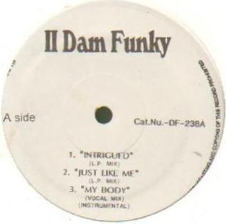 12-дюймовая пластинка VARIOUS - Untitled DF238 II DAM FUNKY США Рэп и хип-хоп/R&B Б/У