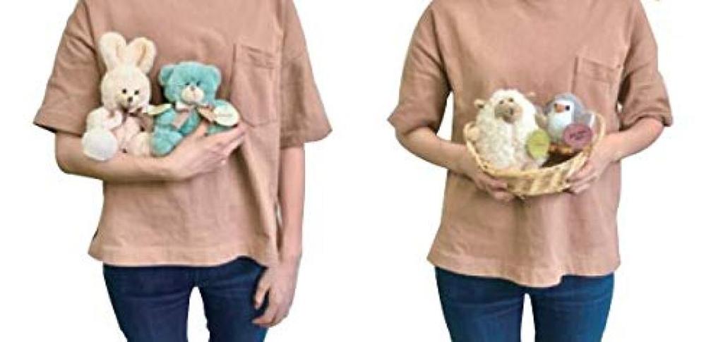 Twin Pochaani Mascot C 12 X 7 X 16 Cm Plush Toy