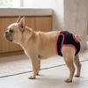 Soft Fabric Dog Sanitary Pant Multi Size Dog Anti-harassment Pant Dog Heat Pant  Pet Daily Care