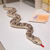Realistic Simulation Snakes Plushie Stuffed Animal Snake Stuffed Toy  Home Decoration