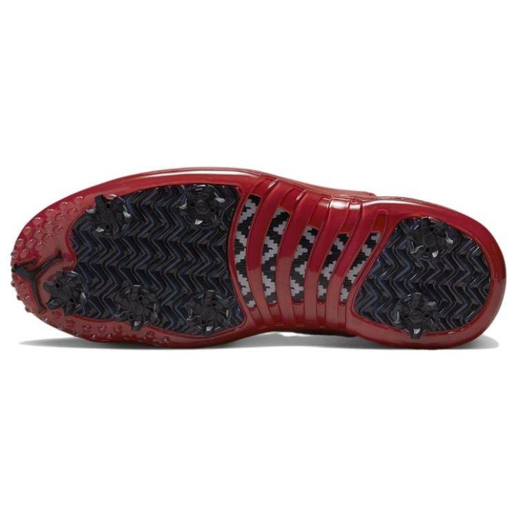 Кроссовки Air Jordan 12 Low Golf Cherry Унисекс Белый Металлик-Серебристый Varsity-Красный DH4120-161