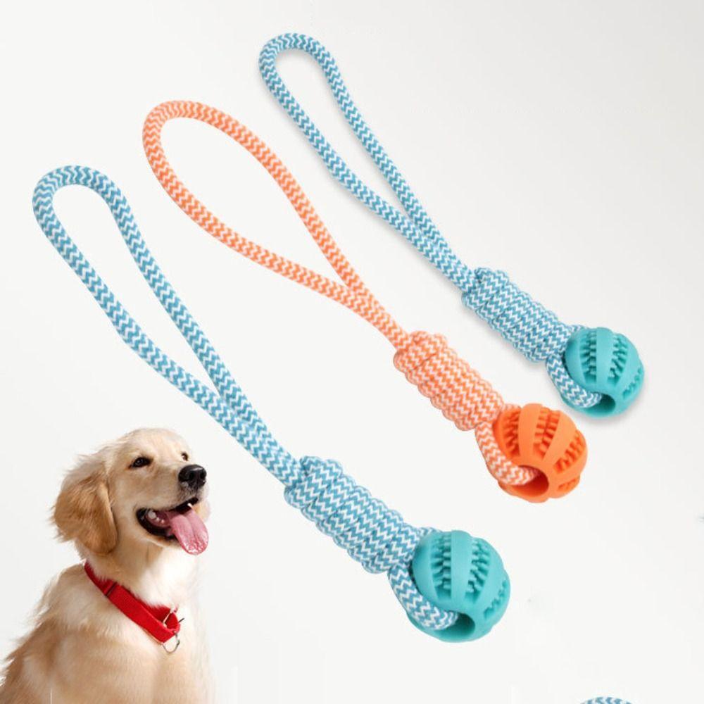 Bite-resistant Dog Slow Feeder Ball Pet Tooth Cleaning Dog Chewing Toys Fun Rope Knot Dog Toys Cat