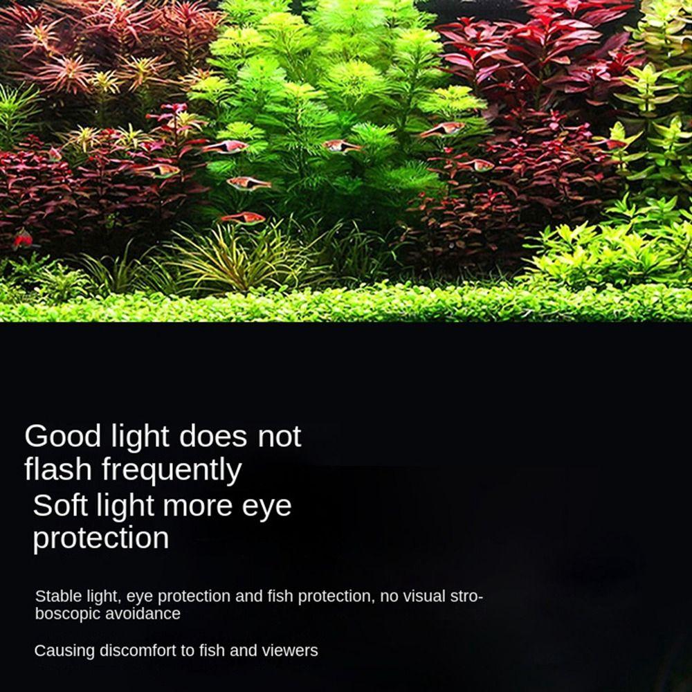 Белый и синий свет Зажимные аквариумные светильники 5 Вт Аквариумные принадлежности Выращивание водных растений