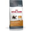 Royal Canin Шерсть &; Уход за кожей крокеты для кошек 4 кг Взрослый