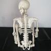 Halloween Skeleton Decoration 35" Full Body Skeleton Bone Statue Posable Joints Skull Ornament for Yard Lawn Garden Patio Scene Display
